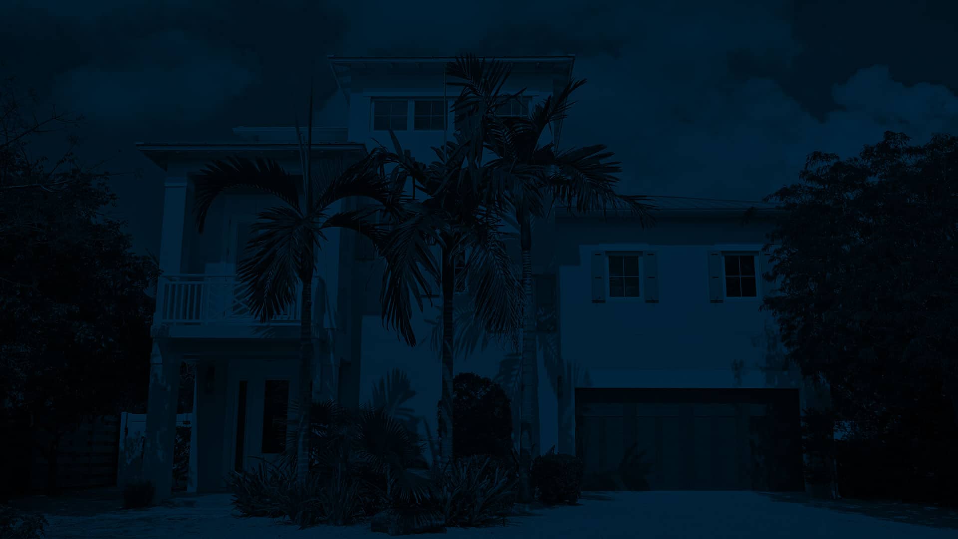 bg-palm