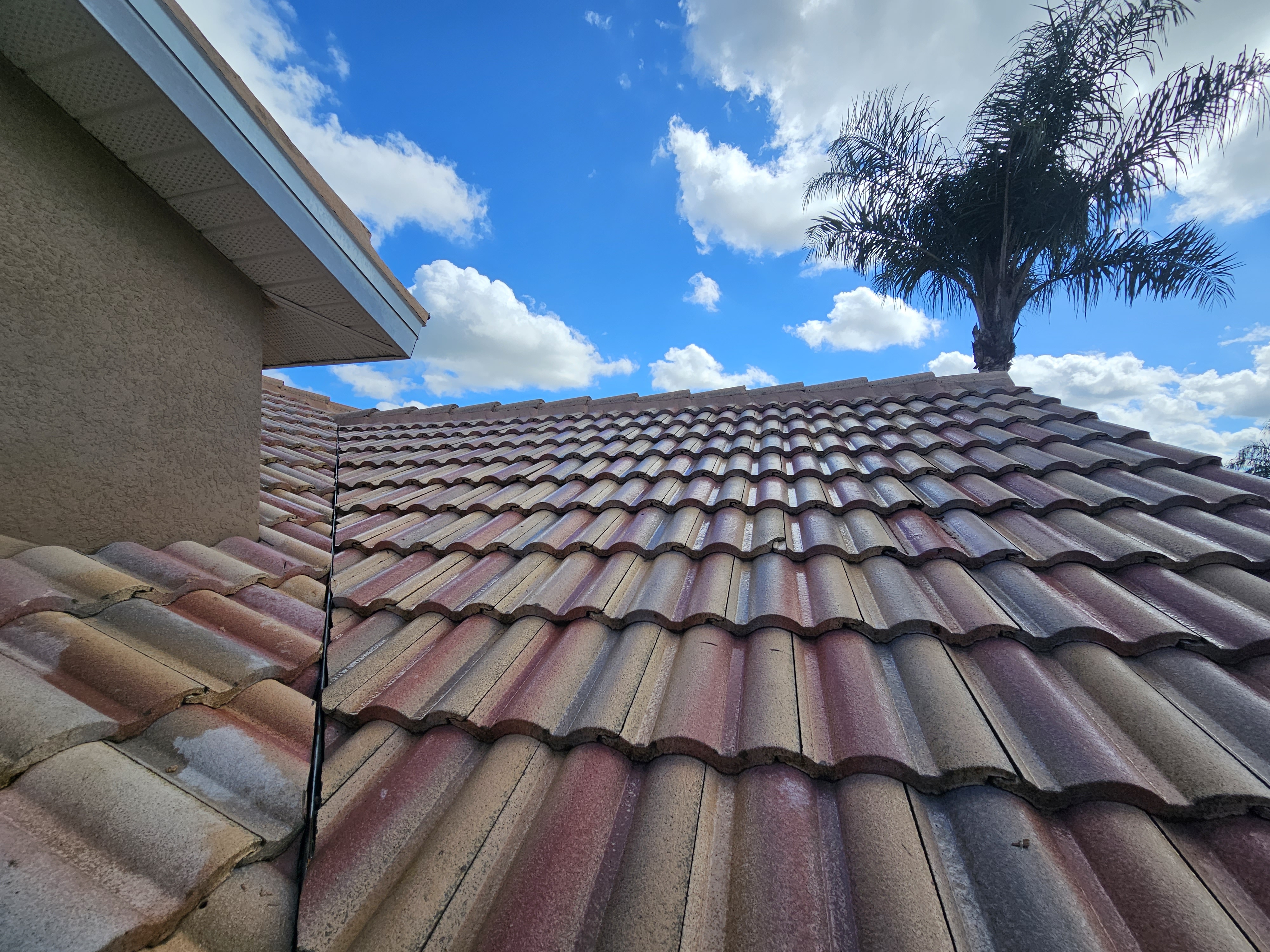Tile Roof Cleaning Fort Myers, FL